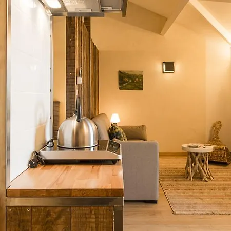 Διαμέρισμα La Ferme Du Marais Girard - Studio La Normandeliere Brétignolles-sur-Mer